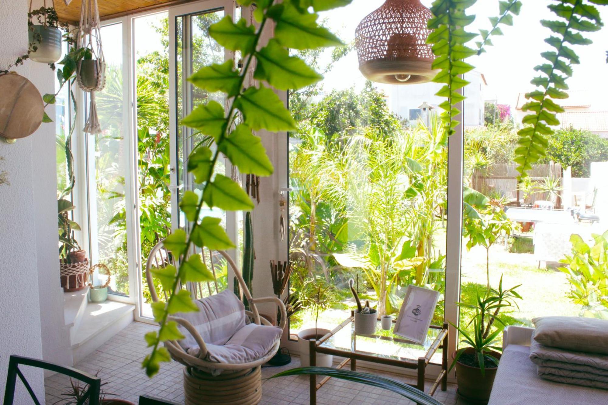 Vila Vale Guest House - Surf & Yoga Шарнека Екстериор снимка