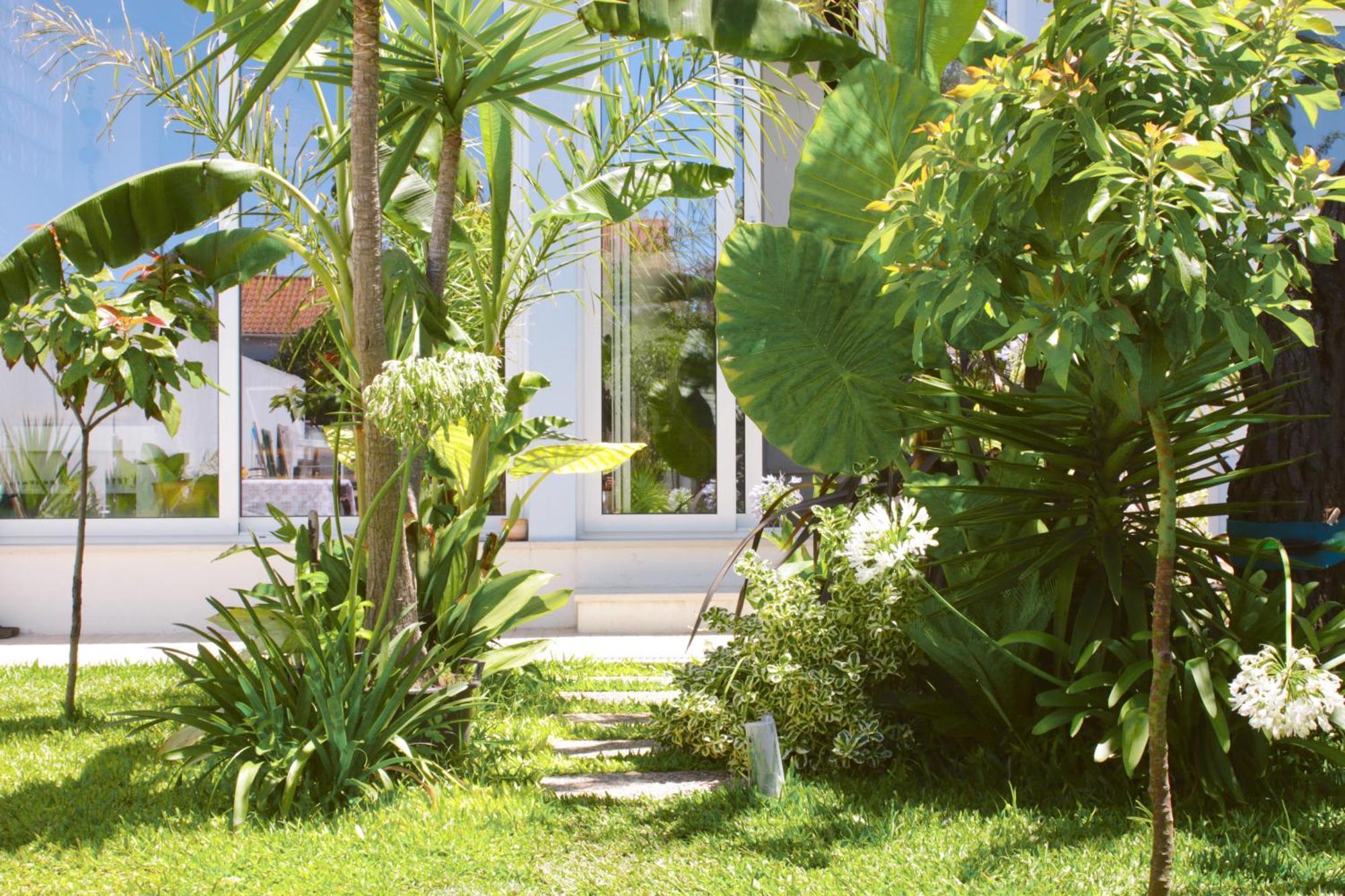 Vila Vale Guest House - Surf & Yoga Шарнека Екстериор снимка