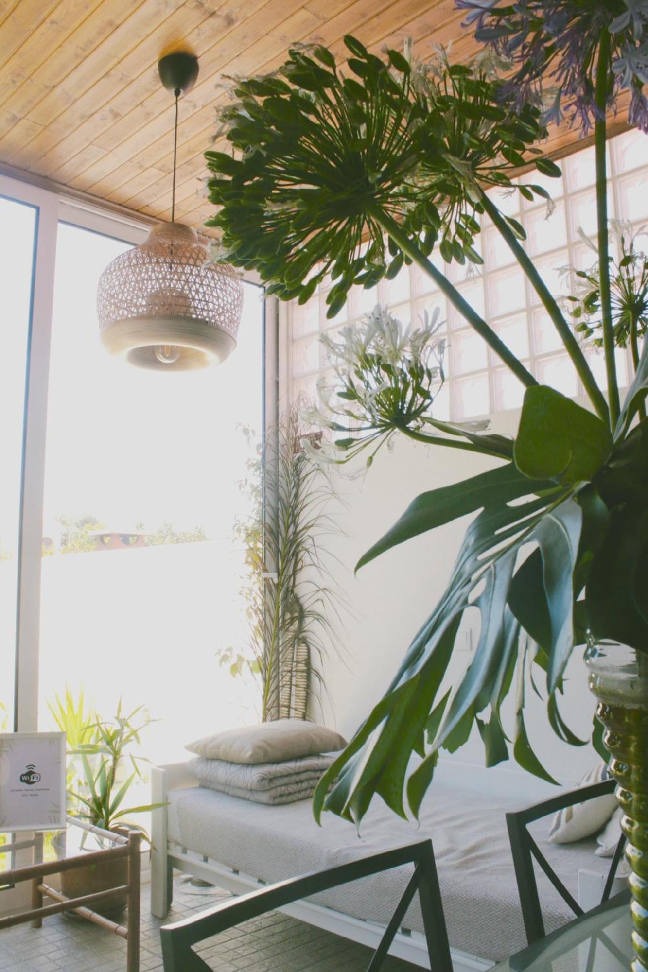 Vila Vale Guest House - Surf & Yoga Шарнека Екстериор снимка